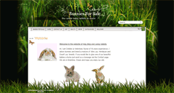 Desktop Screenshot of bunniesforsale.co.uk